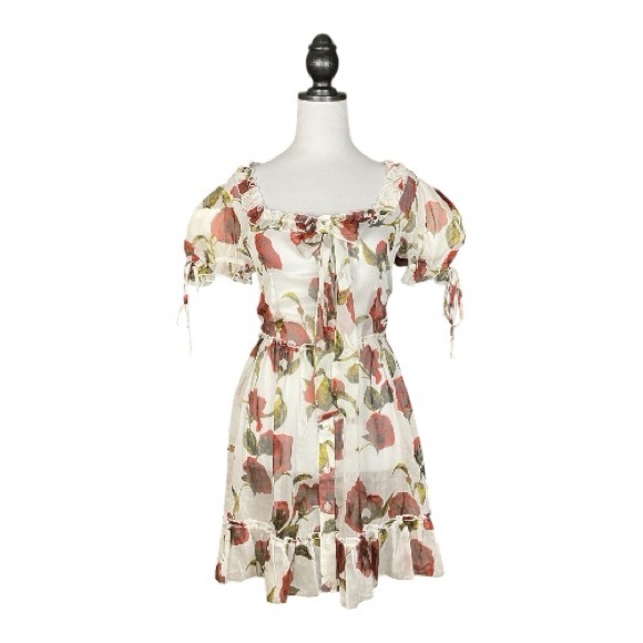 Dolls Kill Sugar Thrillz NWT White Red Rose Sheer Chiffon Babydoll Mini Dress M - Picture 2 of 8